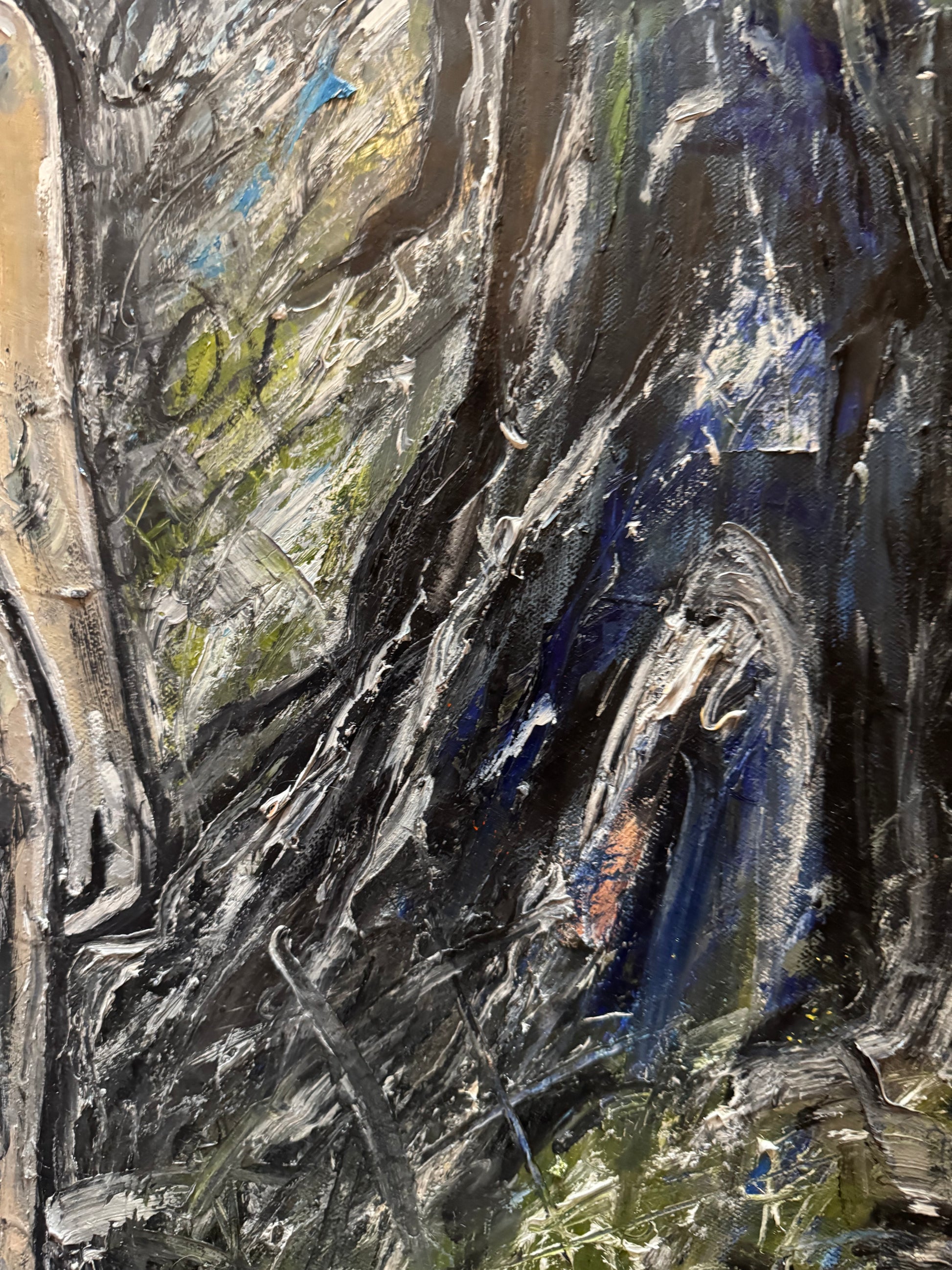 VAIL OF PERCEPTION